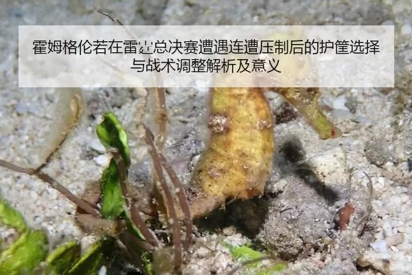huo-mu-ge-lun-ruo-zai-lei-ting-zong-jue-sai-zao-yu-lian-zao-ya-zhi-hou-de-hu-kuang-xuan-ze-yu-zhan-shu-tiao-zheng-jie-1-570.jpg